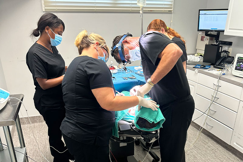 doctor performing dental procedure surgery within the dental practice